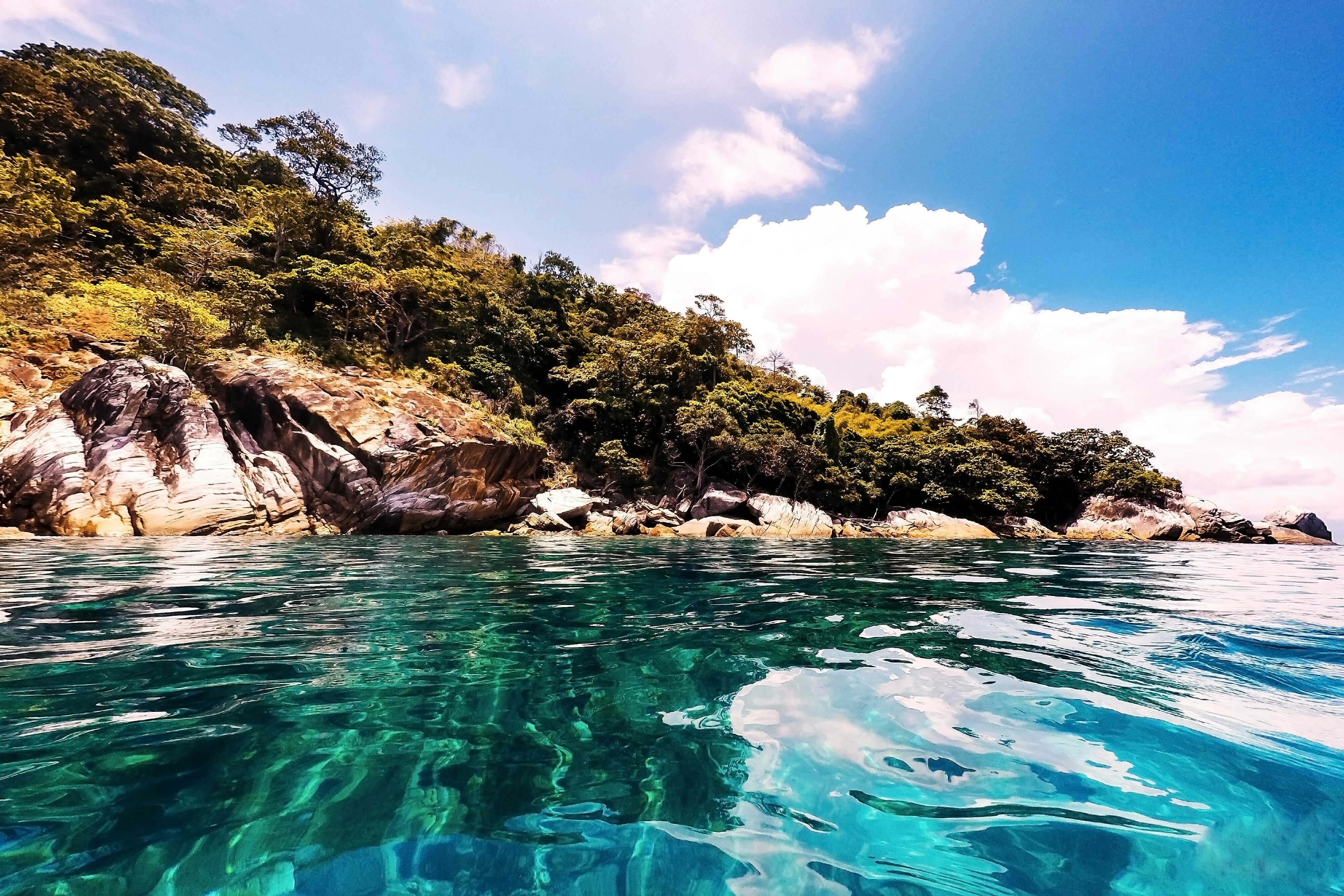 green trees beside blue body of water under blue sky during daytime